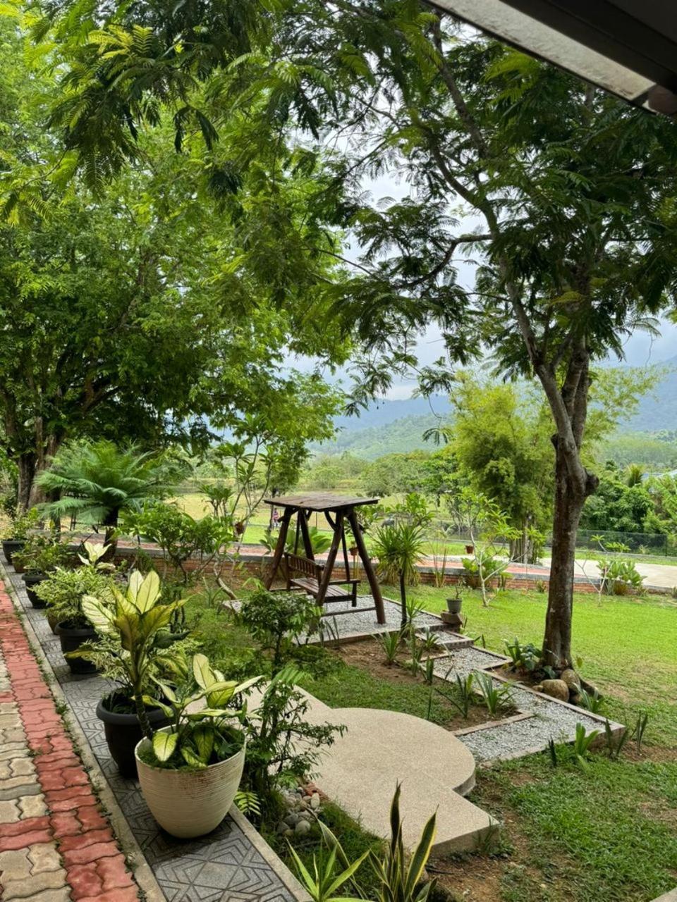 Tamarind In Langkawi